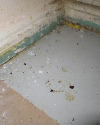 Inspekce uzavřela restauraci v Karlových Varech. Uvnitř našla myší trus a plesnivé zdi