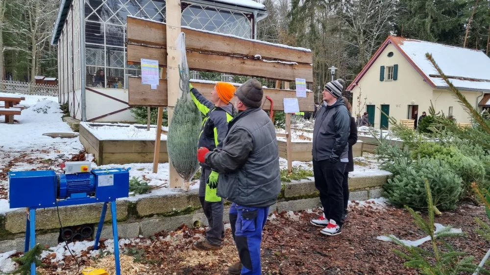 Vlastní stromky i kapry z místního rybníka nabízí karlovarské lázeňské lesy