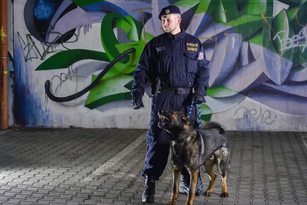 Co nabízí karlovarská policie a jaké jsou možnosti kariérního růstu u Policie České republiky