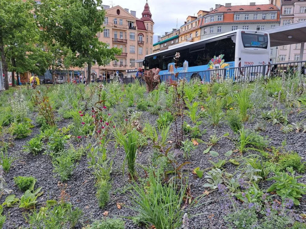 Karlovarská Varšavská ulice je zelenějsí, u terminálu jsou tisíce trvalek