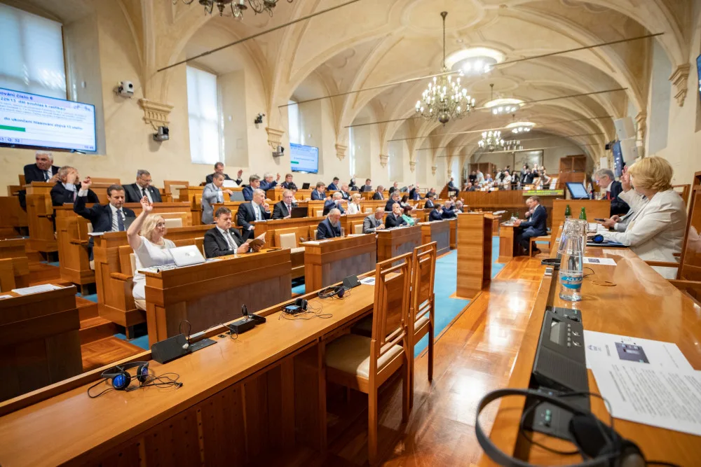 Senát schválil úsporný tarif u plynu, elektřiny a tepla pro domácnosti