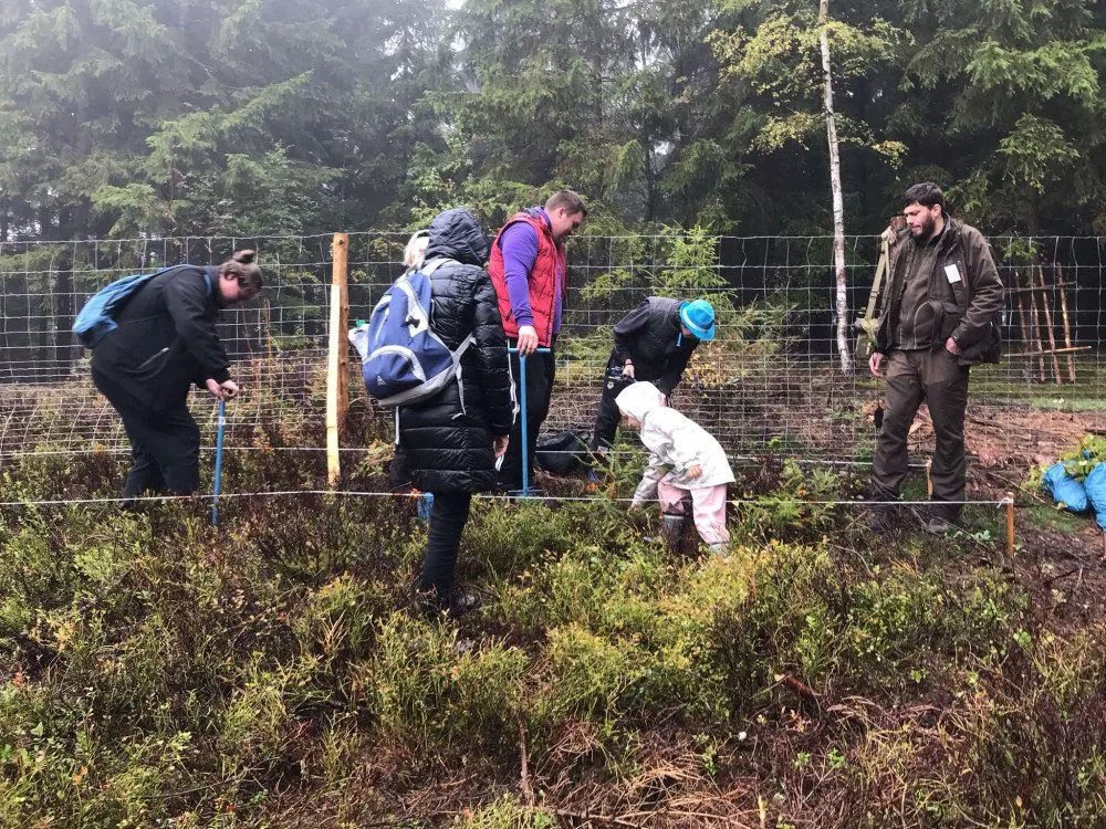 Přes 100 lidí přijelo na Sokolovsku podpořit Den za obnovu lesů
