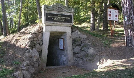 U Františkových lázní leží Komorní hůrka, jedna z nejmladších sopek Českého masivu.