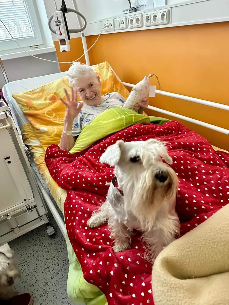 Pacienty sokolovské nemocnice na Štědrý večer dojala psí návštěva