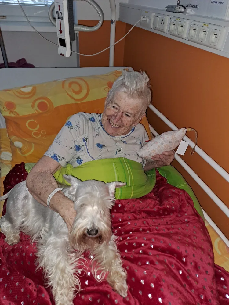 Pacienty sokolovské nemocnice na Štědrý večer dojala psí návštěva