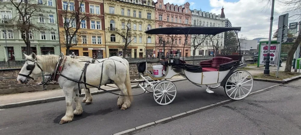 Pravidla pro kočárovou dopravu v Karlových Varech se zpřísní