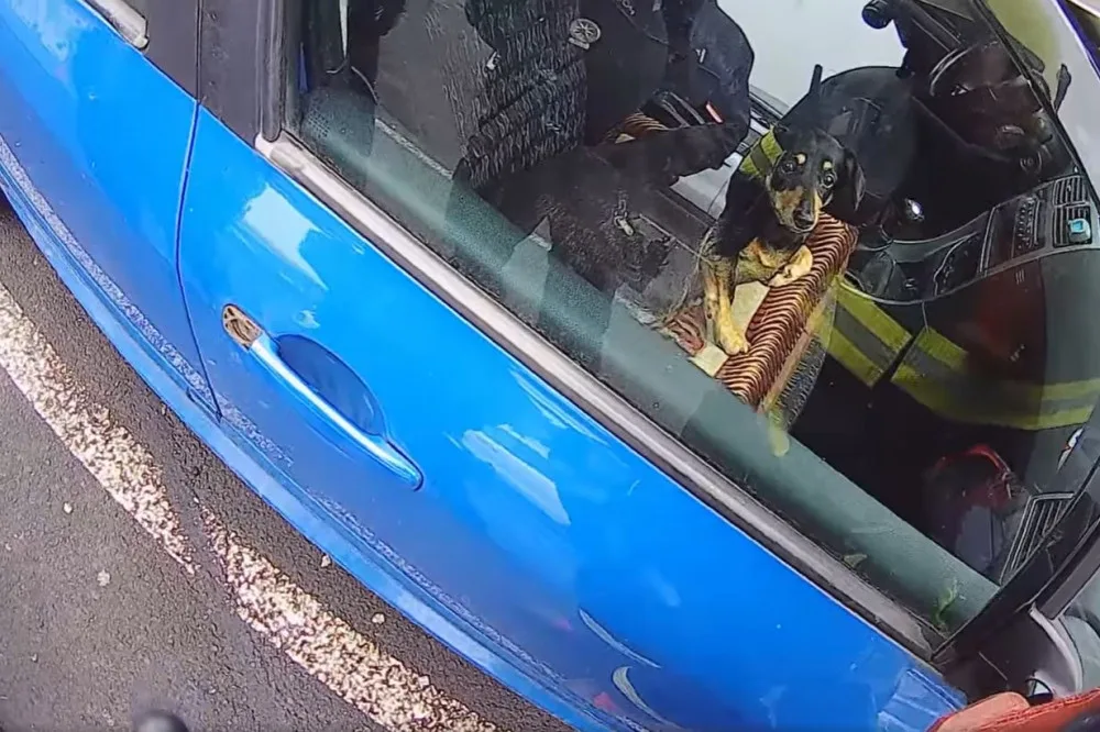 Pejsek zůstal uvězněný uvnitř automobilu, majiteli nešel vůz klíčkem odemknout
