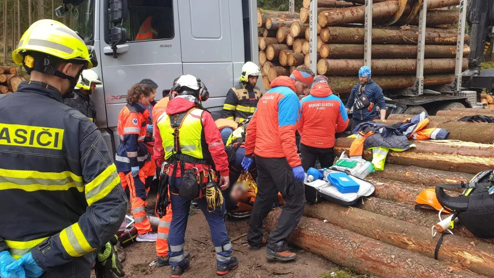 Dělníka v lese zavalila padající kláda, muž utrpěl těžká zranění