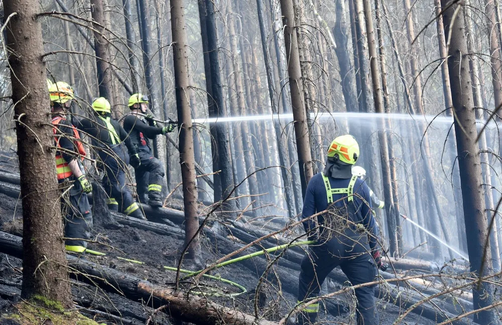 Hasiči v noci našli několik skrytých ohnisek na místě lesního požáru u Bublavy