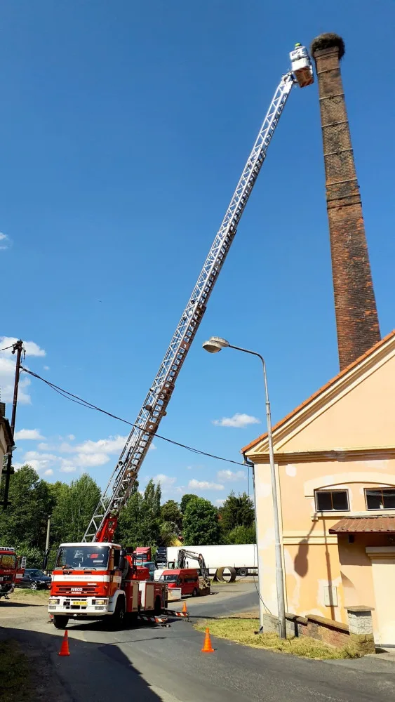 Hasiči zachraňovali z komína v Teplé dvě osiřelá čapí mláďata, bez pomoci by uhynula
