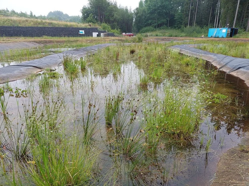 Wetland v Hájku na Karlovarsku