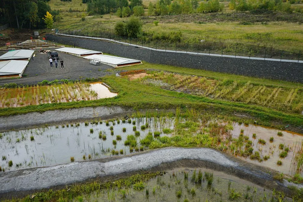 Wetland v Hájku na Karlovarsku
