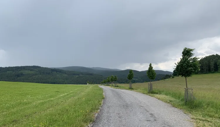 Ilustrační foto.