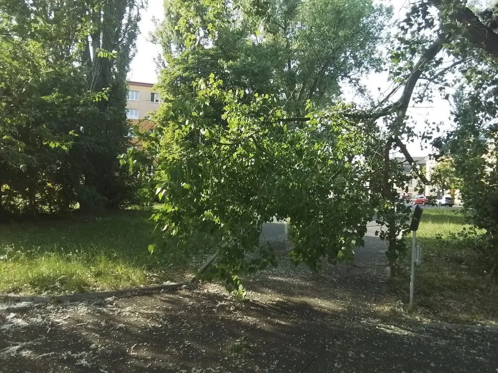 Očekávaná bouře na západ Čech naštěstí neudeřila plnou silou. Meteorologové vysvětlují, proč se výstraha nenaplnila