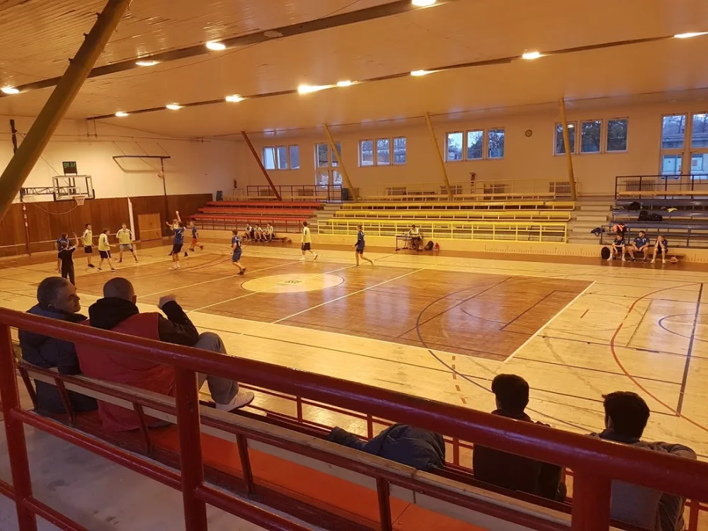 Karlovarský kraj chce začít s přestavbou sportovní haly v Sokolově za dva roky.
