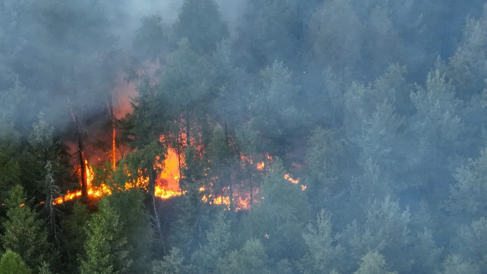 Velký požár lesa na Sokolovsku. V neděli ráno hasiči dohašovali skrytá ohniska