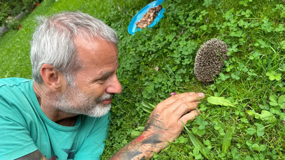 Ježkům se u nás na zahradě líbí a nám se líbí jejich společnost