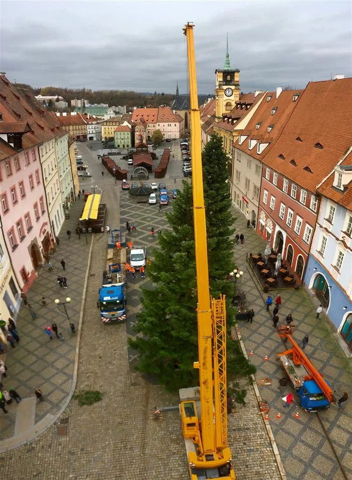 Cheb hledá strom, který na Vánoce ozdobí náměstí Krále Jiřího z Poděbrad