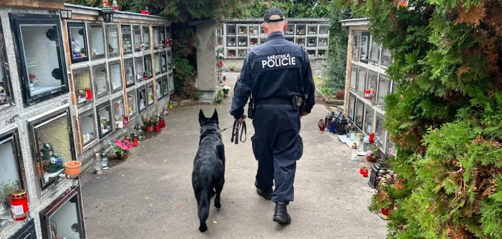 Karlovarští strážníci půjdou omrknout hřbitovy. Vezmou s sebou i psy
