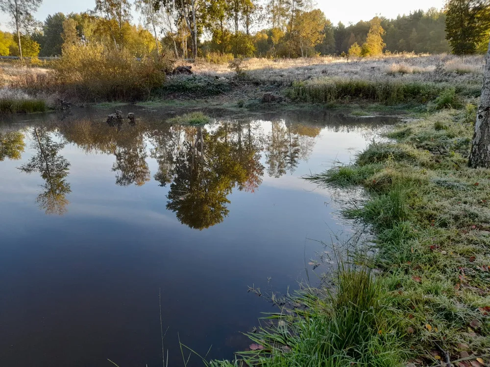 Lázeňské lesy vybudovaly osm nových tůní, pomohou zadržet vodu a poskytnou útočiště živočichům i rostlinám
