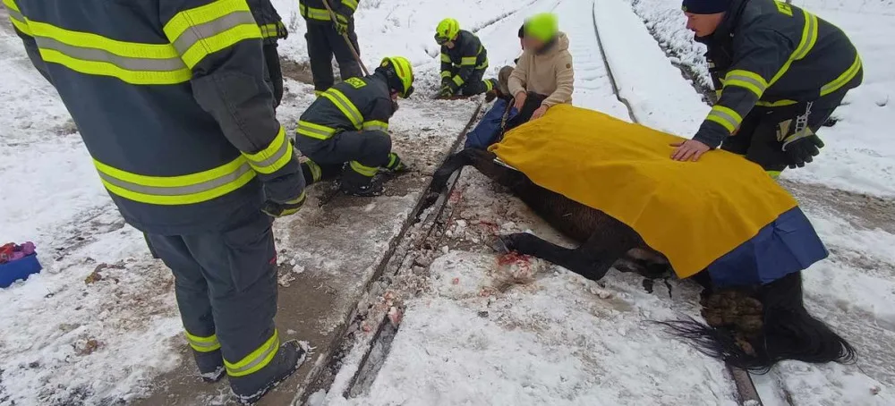 Kůň se zaklínil předními kopyty mezi koleje a betonový nájezd, na místo zamířili hasiči i veterinář