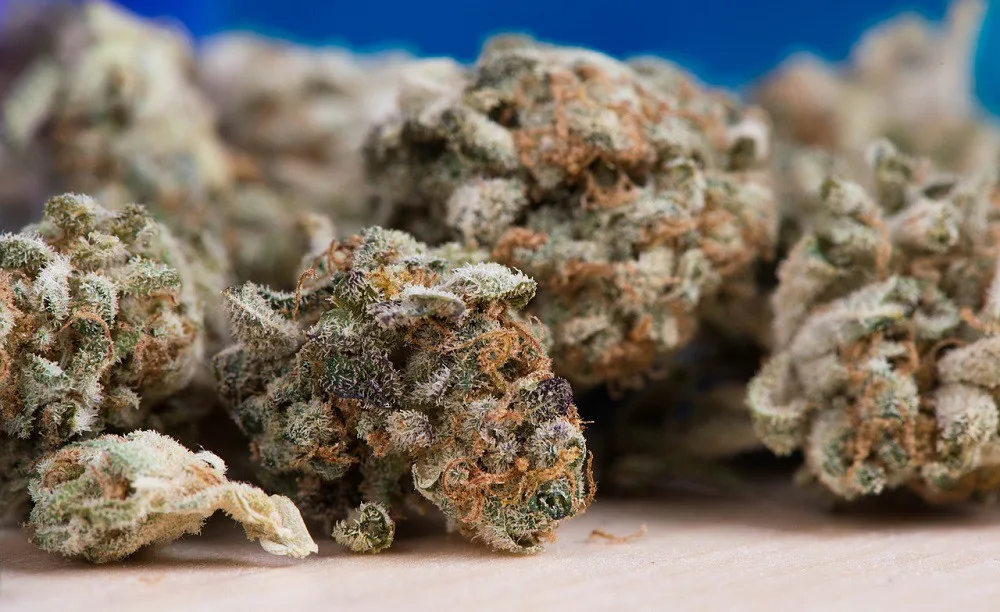 Drogový dealer měl batoh plný marihuany. Prozradil ho charakteristický zápach, který neunikl policejní hlídce