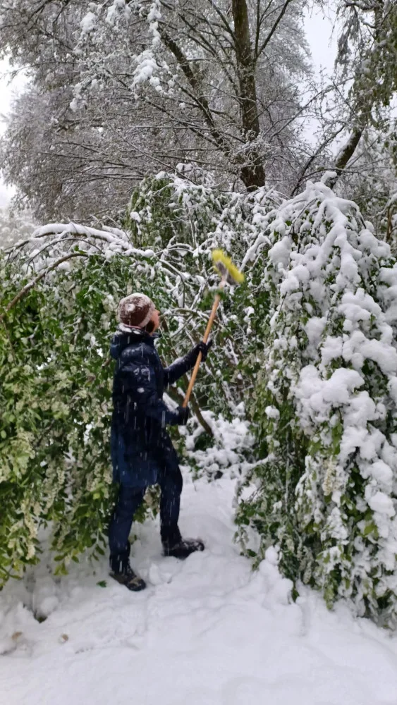 Bečovská botanická zahrada smutní. Areál zasáhla sněhová kalamita