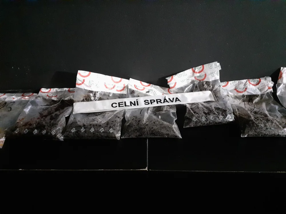 Celníci si došlápli na prodejce nezdaněného alkoholu a neznačených cigaret. Zboží ukrývali pod pulty provozoven