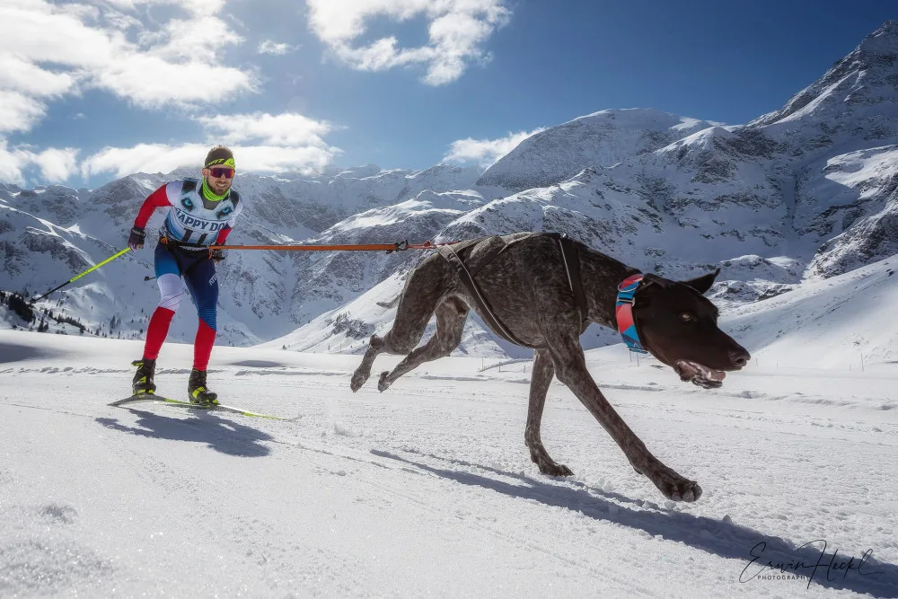 Lékař, sportovec a nastávající otec Alex Nosek bojuje s vážnou nemocí. Za dva dny mu lidé poslali miliony