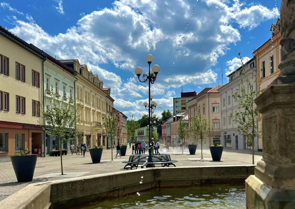 Sokolovské Staré náměstí stíní nově vysázená javorová alej