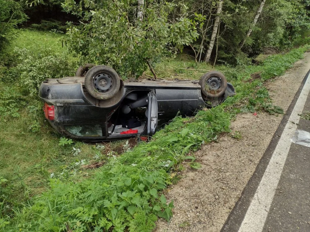Auto vyletělo ze silnice a poškodilo vozí hnízdo. Vosy pak napadaly záchranáře, kteří pomáhali těžce raněným