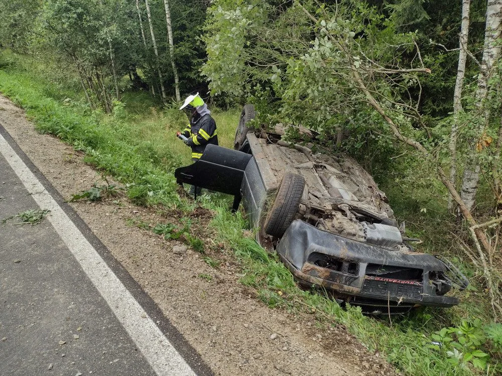 Auto vyletělo ze silnice a poškodilo vozí hnízdo. Vosy pak napadaly záchranáře, kteří pomáhali těžce raněným