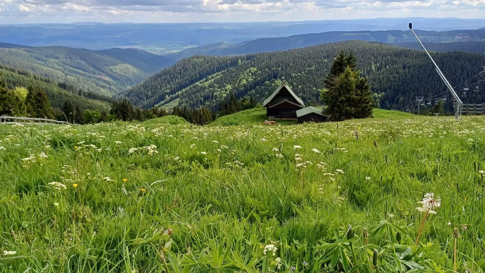 Ryžovna chce větší ochranu v CHKO, Boží Dar žádá o odložení vyhlášení CHKO