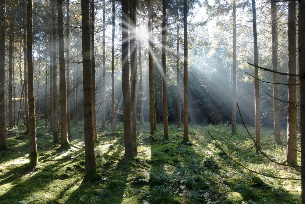 Ilustrační foto