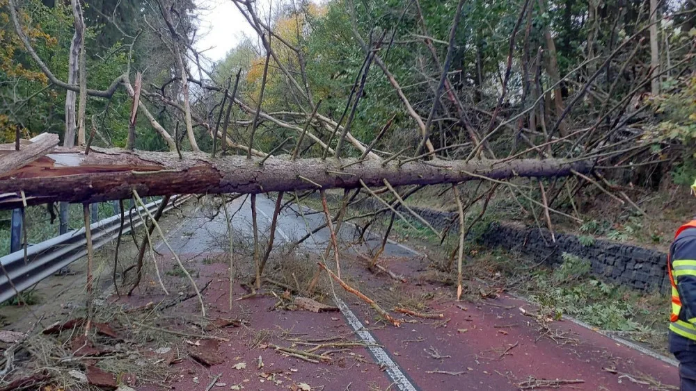 Hasiče po vichřici zaměstnávalo množství popadaných stromů