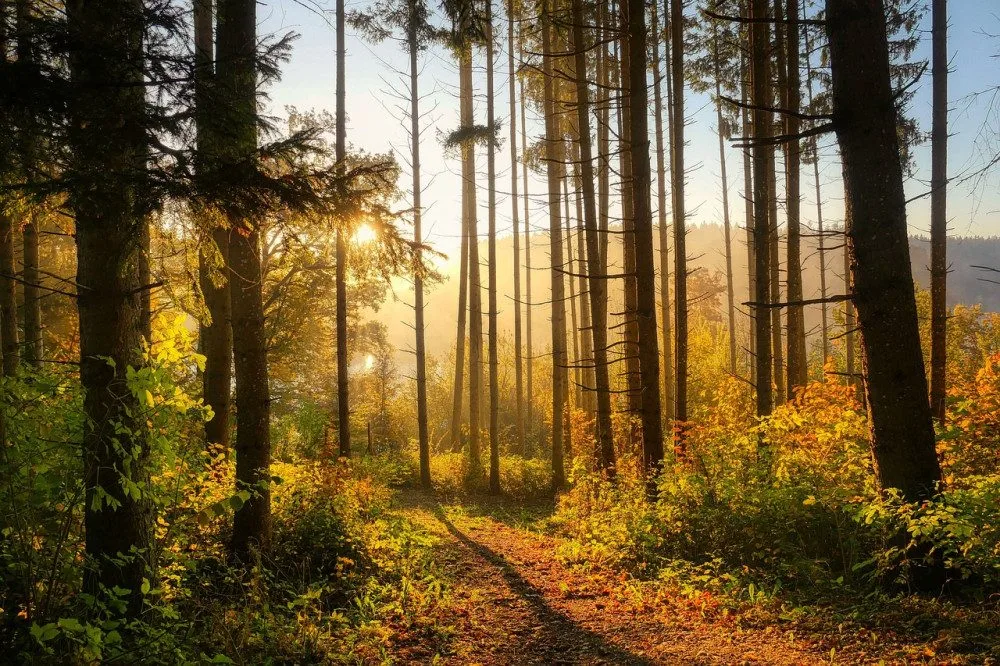 Týden přinese oteplení, v pátek může být až 18 stupňů