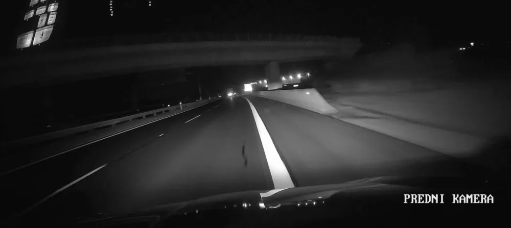 VIDEO: Dálniční policisté zadrželi uprchlého vězně, krvácel a krčil se v křoví u D6