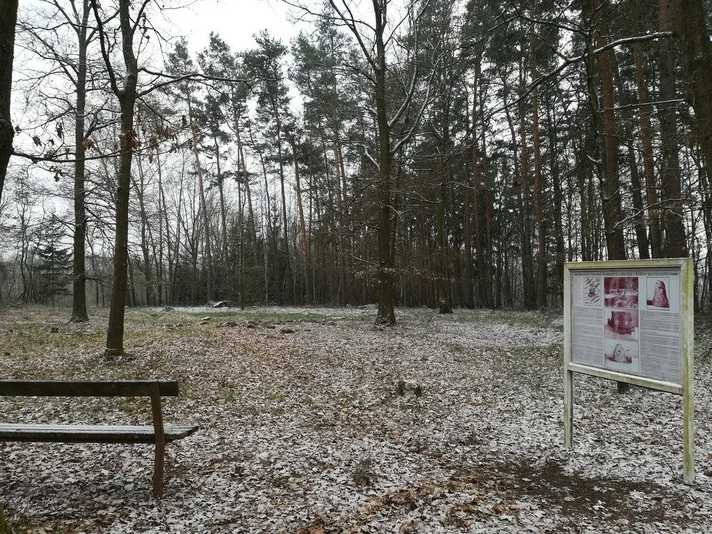 Kraj podpoří úpravy mohylového pohřebiště z doby bronzové nedaleko Františkových Lázní