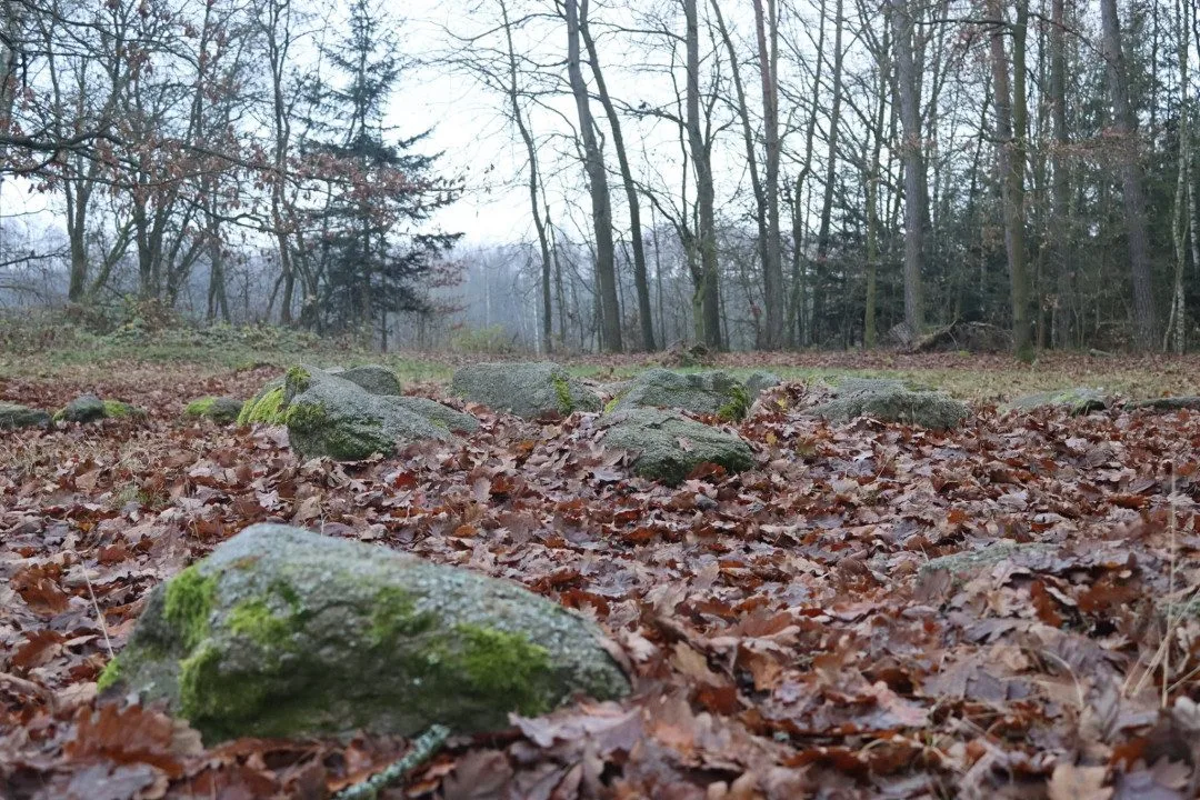 Kraj podpoří úpravy mohylového pohřebiště z doby bronzové nedaleko Františkových Lázní