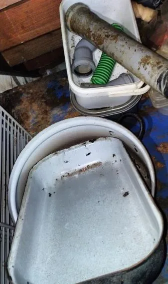 Mrtvá myš ve skladu restaurace a všude kolem bobky, inspektoři uložili provozovateli částečný zákaz