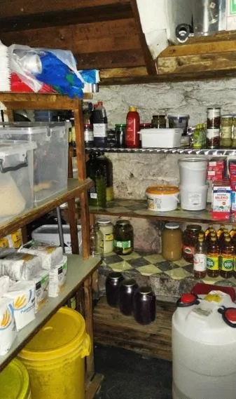Mrtvá myš ve skladu restaurace a všude kolem bobky, inspektoři uložili provozovateli částečný zákaz