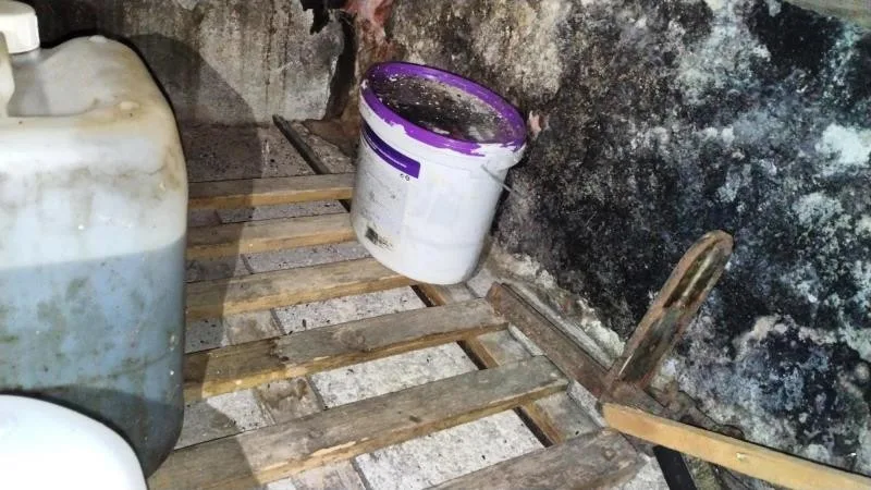 Mrtvá myš ve skladu restaurace a všude kolem bobky, inspektoři uložili provozovateli částečný zákaz