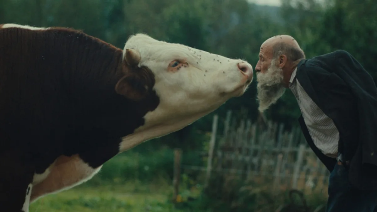 Křišťálový glóbus v Karlových Varech získal snímek Raději zešílet v divočině. Foto: Se svolením KVIFF