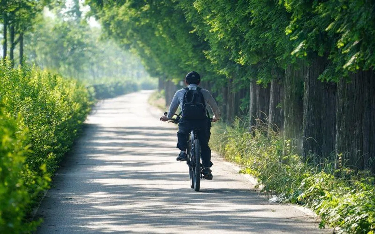 Karlovarský kraj pokračuje ve stavbě dvou úseků cyklostezky Ohře za 113 milionů. Foto: Se svolením Karlovarského kraje