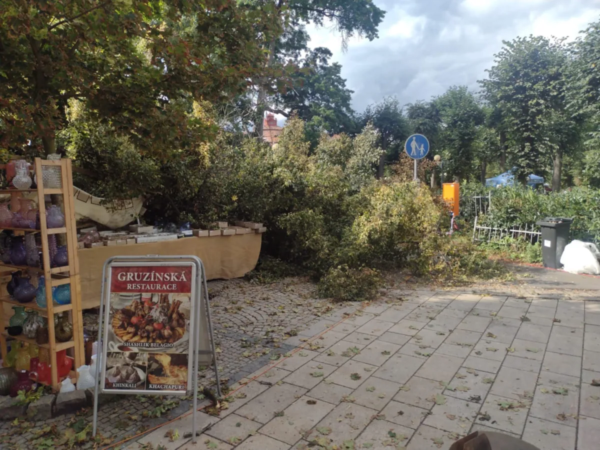 Na hlavní třídě ve Varech spadl mezi stánky strom a zranil ženu a muže.