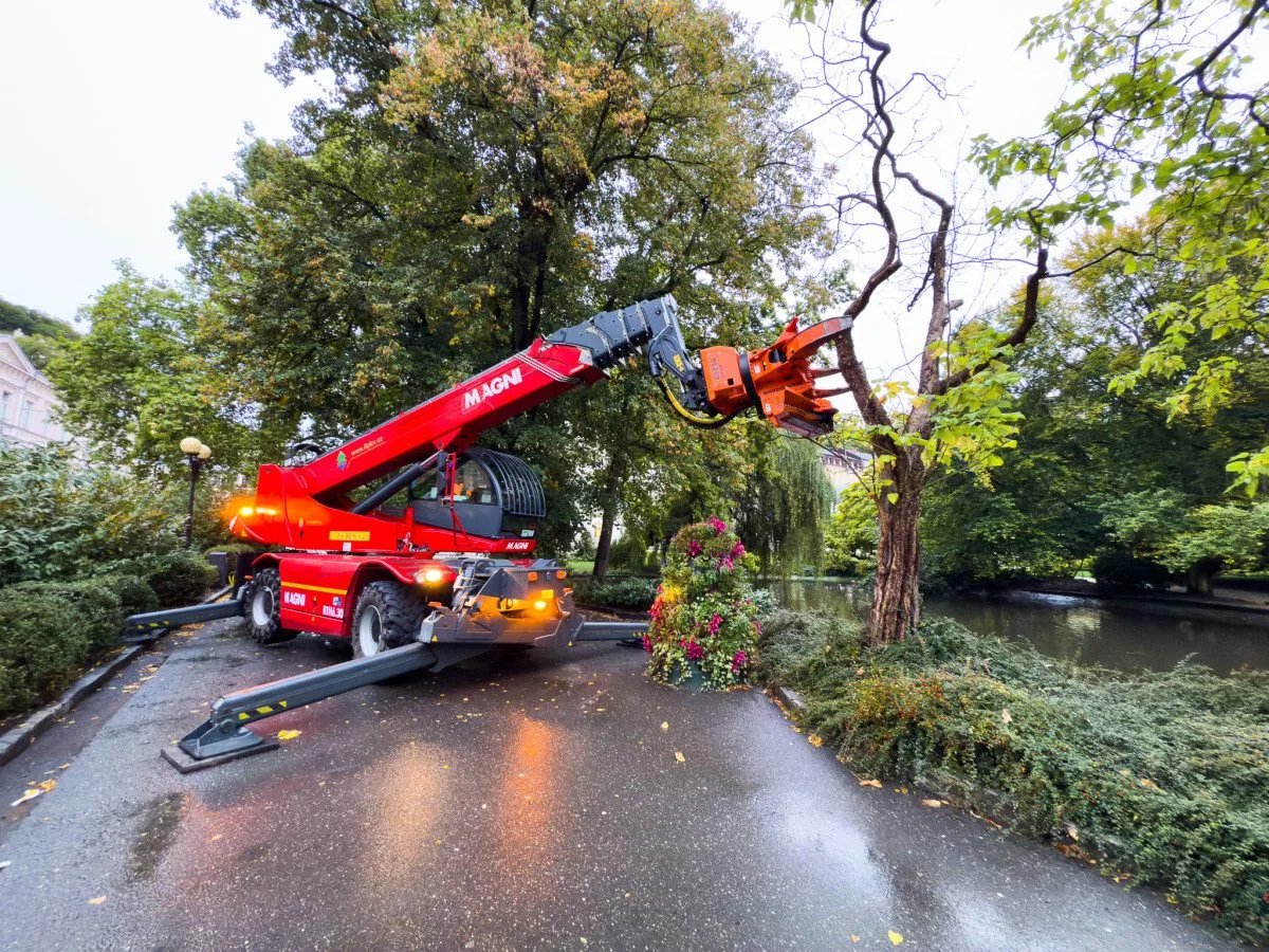 V karlovarských Dvořákových sadech byly pokáceny tři stromy kvůli hrozbě pádu. Foto: Se svolením Lázeňských lesů a parků
