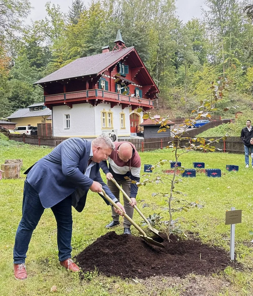Odkaz zakladatele nápojové firmy a lázní Kyselka připomíná i pamětní strom.