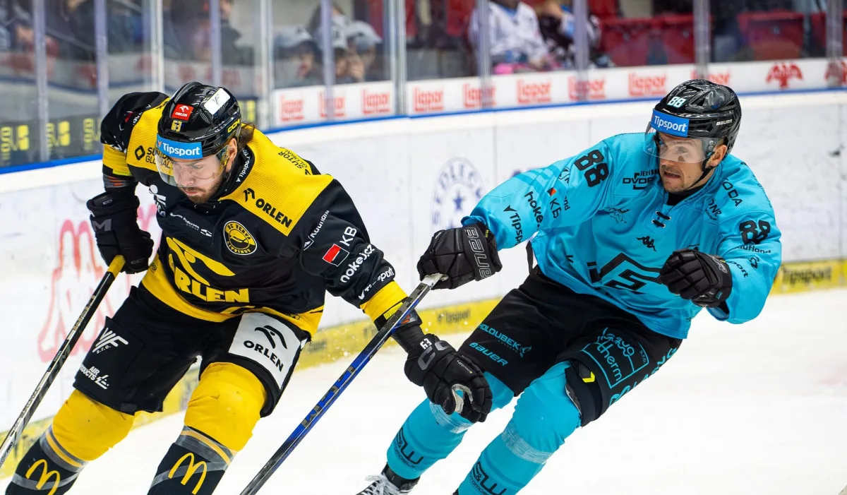 EnEnergie bude dlouho bez Redlicha, místo něj přišel Strnad a klub vyhrál derby. Foto: Se svolením HC Energie Karlovy Varyergie bude dlouho bez Redlicha, místo něj přišel Strnad a klub vyhrál derby