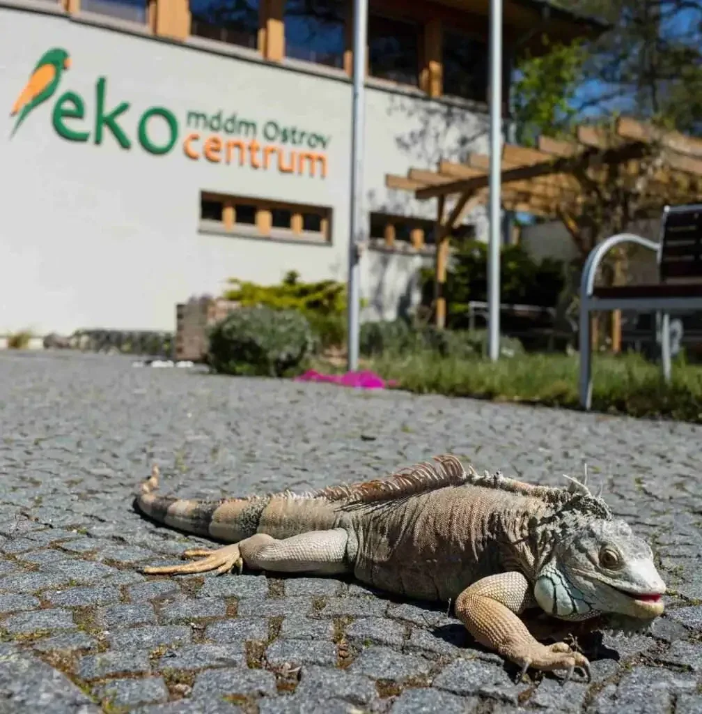 ilustrační foto.