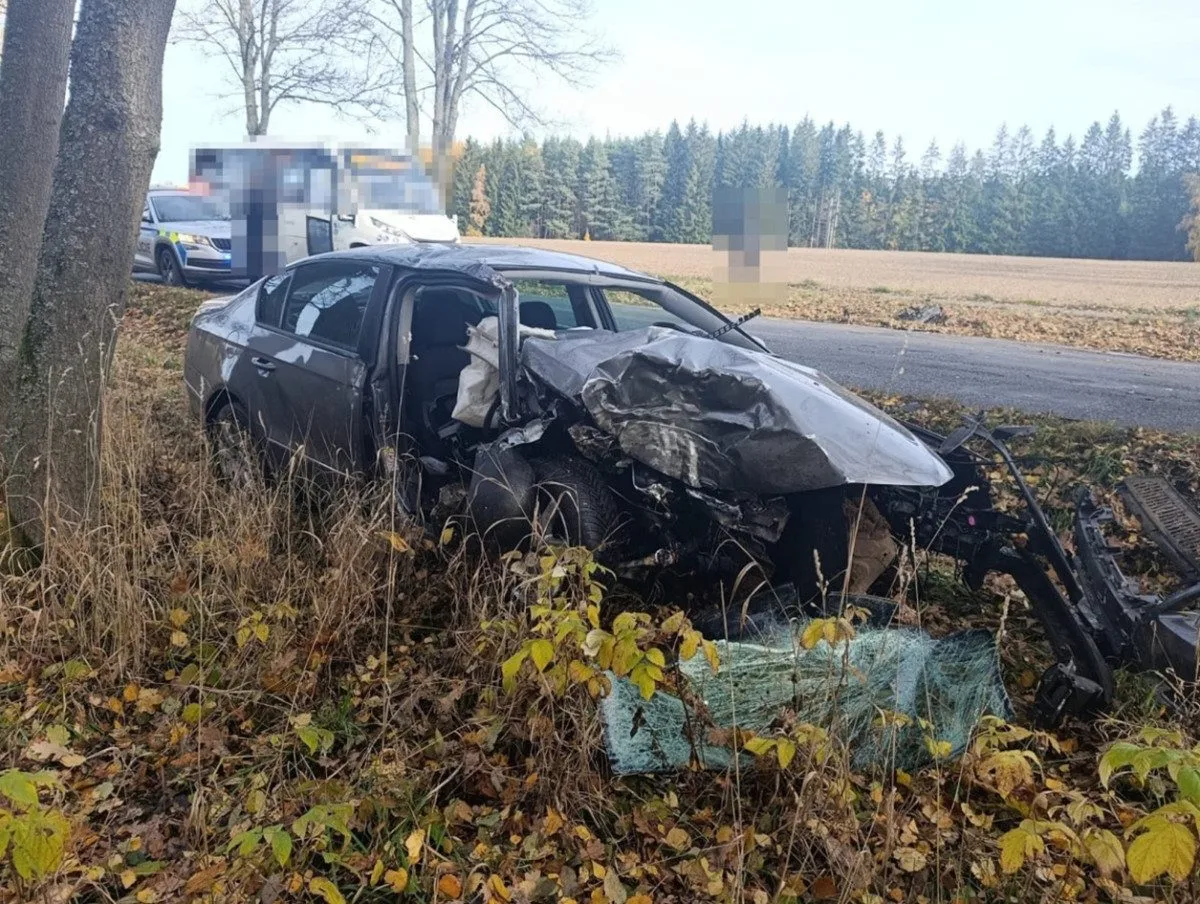 Mladík našel klíče od cizího auta, jeho jízda skončila nárazem do stromu u Toužimi. Foto: Se svolením Policie ČR